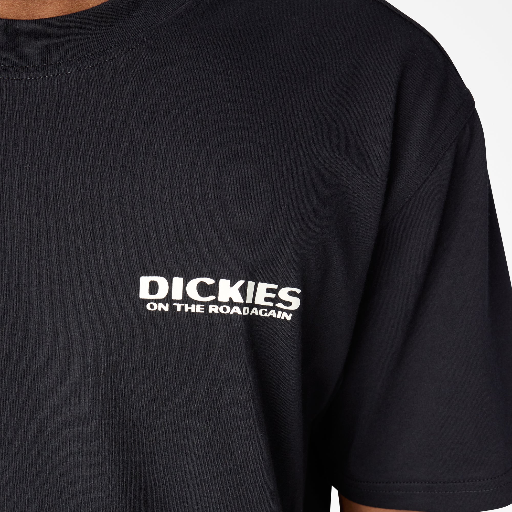 Dickies Burns Graphic T-Shirt