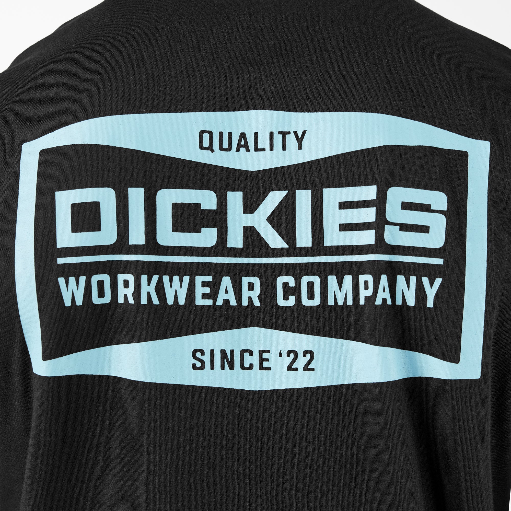 Dickies Bolivar Graphic T-Shirt