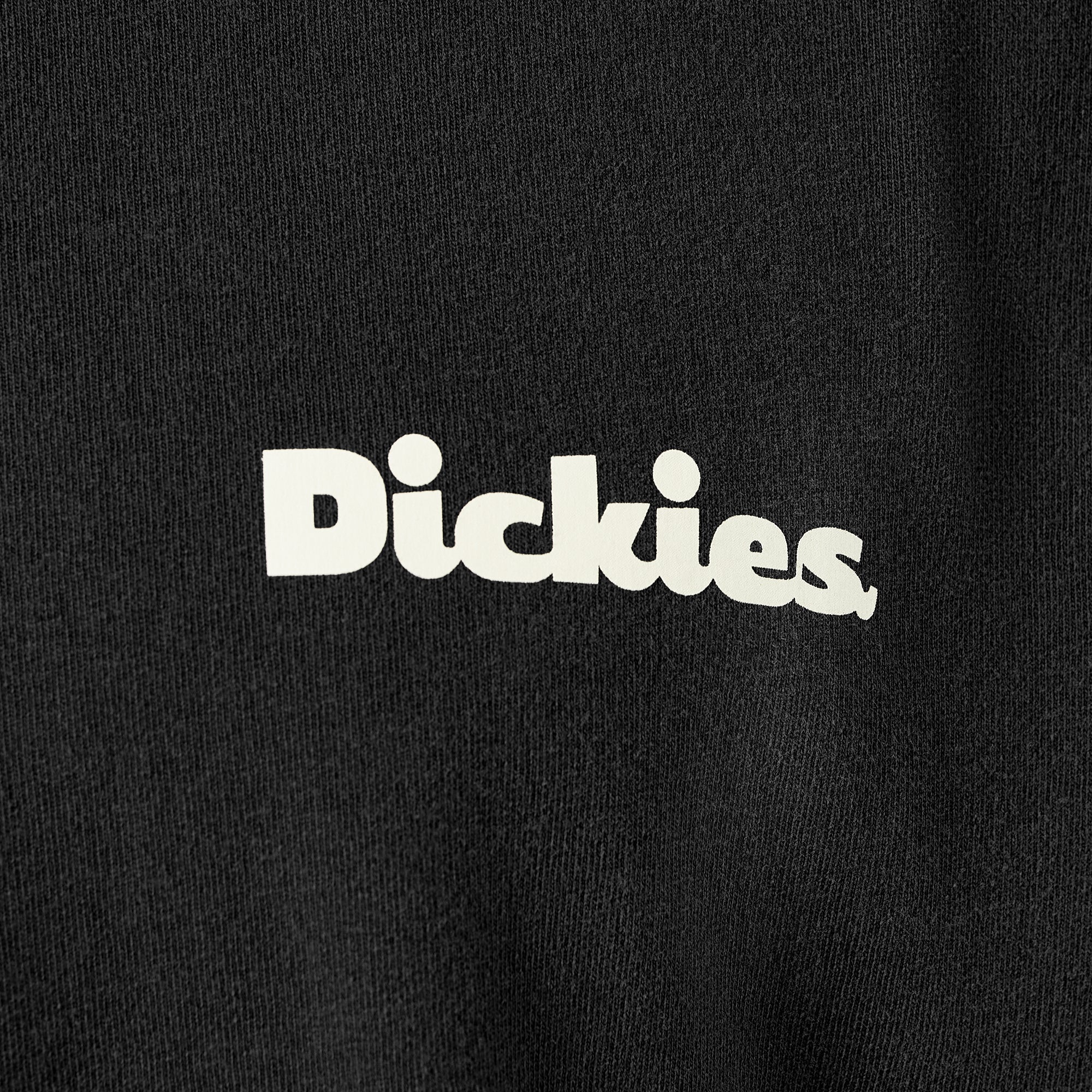 Dickies Slayden Garment Dyed T-Shirt