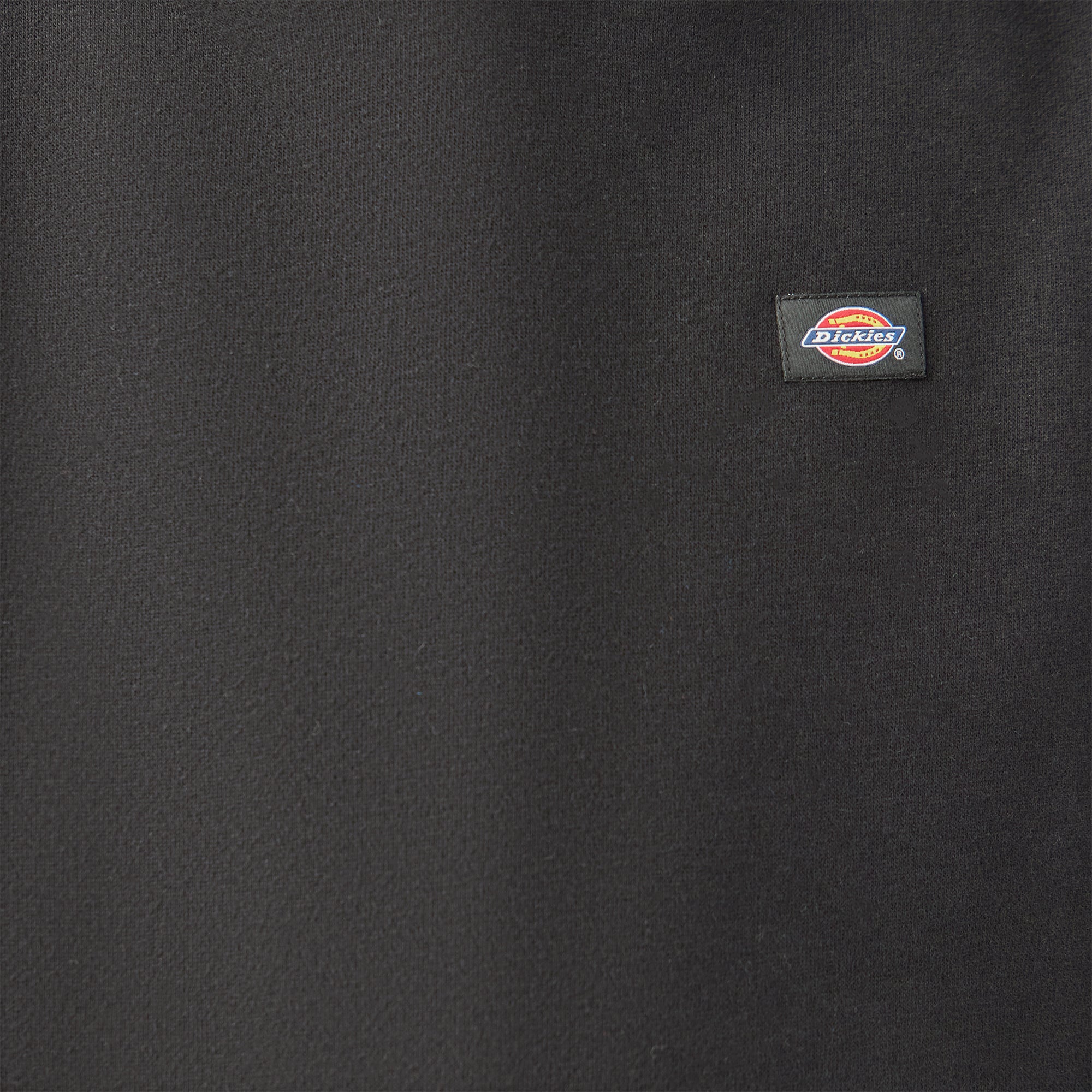 Dickies Kids' Oakport Hoodie